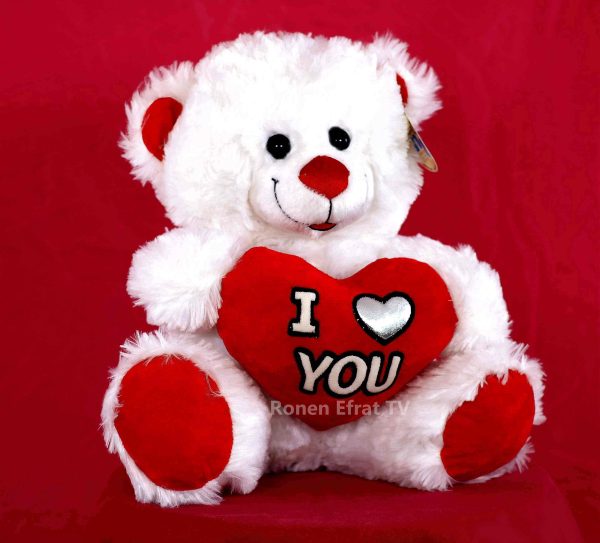 דובי מתנה ליום האהבה