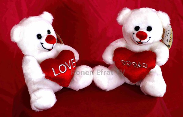 דובי אהבה דובי רומנטיקה דובי במתנה