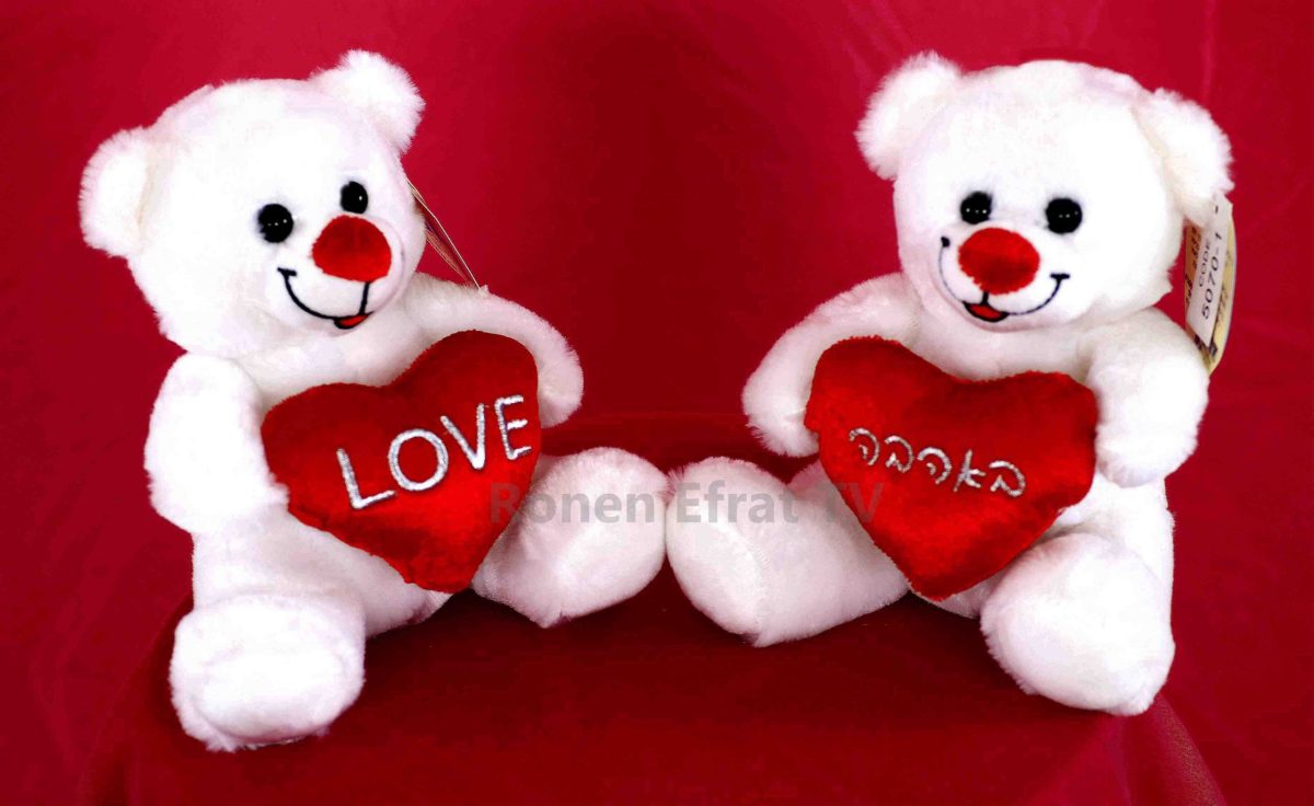 דובי אהבה דובי רומנטיקה דובי במתנה