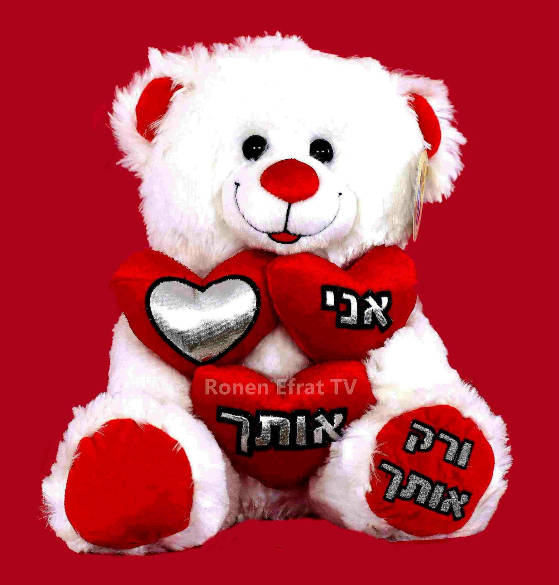דובי אני❤️אותך ורק אותך בגודל 29 ס''מ